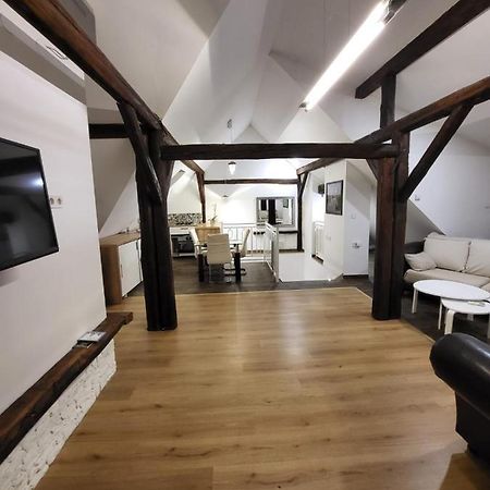 Apartman Buzanova Διαμέρισμα Ζάγκρεμπ Εξωτερικό φωτογραφία