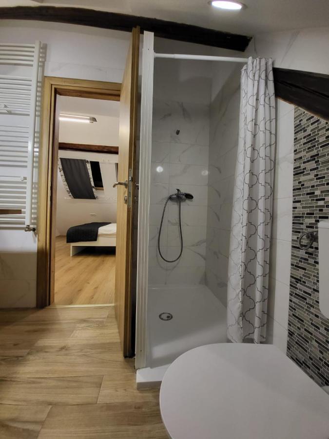 Apartman Buzanova Διαμέρισμα Ζάγκρεμπ Εξωτερικό φωτογραφία