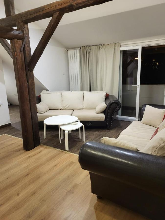 Apartman Buzanova Διαμέρισμα Ζάγκρεμπ Εξωτερικό φωτογραφία