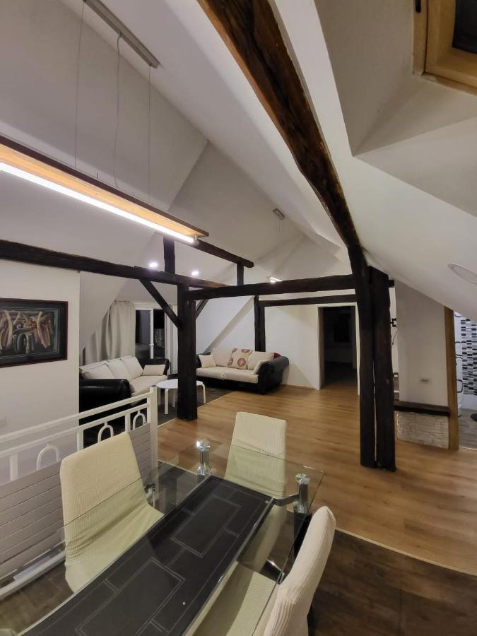 Apartman Buzanova Διαμέρισμα Ζάγκρεμπ Εξωτερικό φωτογραφία